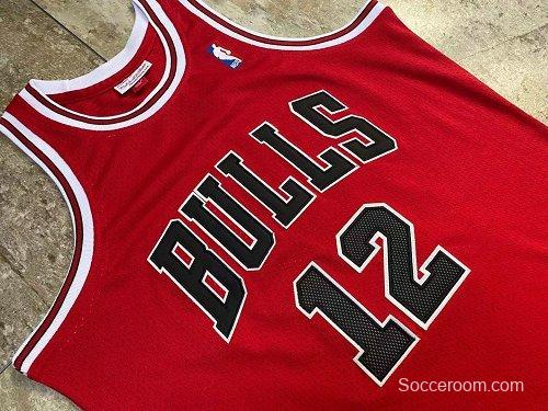 Men's Michael Jordan Red Retro Classic Team Jersey